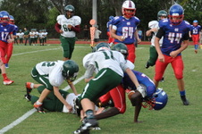 Enlarge photo 214