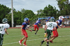 Enlarge photo 217