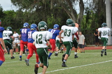 Enlarge photo 220