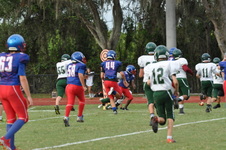 Enlarge photo 223
