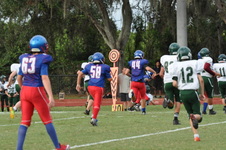 Enlarge photo 224