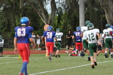 Enlarge photo 225