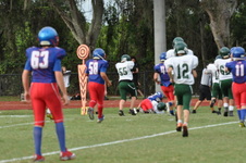 Enlarge photo 226