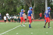 Enlarge photo 236