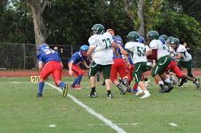 Enlarge photo 238