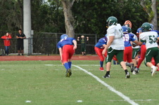 Enlarge photo 239