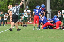 Enlarge photo 246