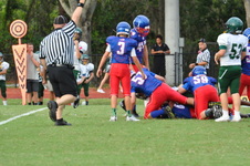 Enlarge photo 247