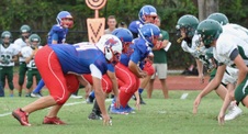 Enlarge photo 253