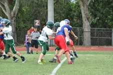 Enlarge photo 256