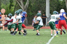 Enlarge photo 257