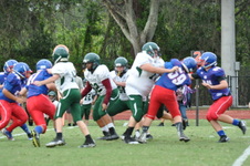 Enlarge photo 258