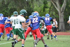Enlarge photo 262