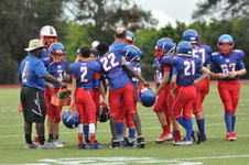 Enlarge photo 264