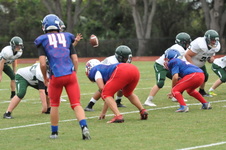 Enlarge photo 267
