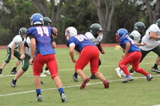Enlarge photo 268