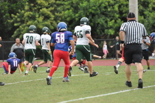 Enlarge photo 273