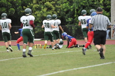 Enlarge photo 274