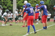 Enlarge photo 276