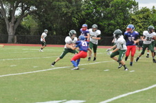 Enlarge photo 277