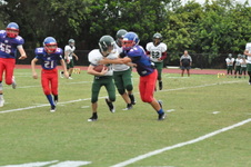 Enlarge photo 280