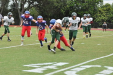 Enlarge photo 282