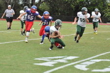 Enlarge photo 283