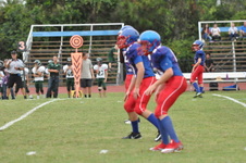 Enlarge photo 287