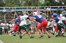 Enlarge photo 299