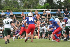Enlarge photo 301