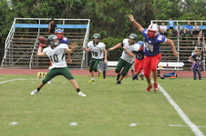Enlarge photo 302