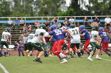 Enlarge photo 305