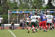 Enlarge photo 308
