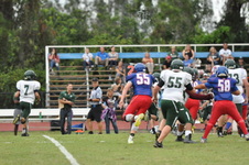 Enlarge photo 309