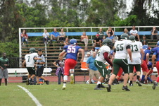 Enlarge photo 310