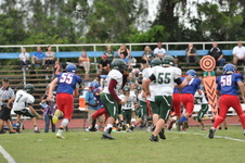 Enlarge photo 311