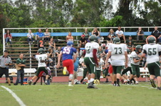 Enlarge photo 313