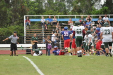 Enlarge photo 317