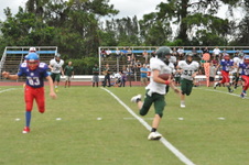 Enlarge photo 321