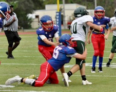 Enlarge photo 333