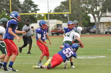Enlarge photo 334