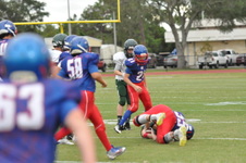 Enlarge photo 336