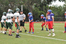 Enlarge photo 340