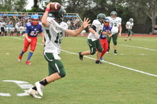Enlarge photo 351