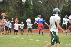 Enlarge photo 354