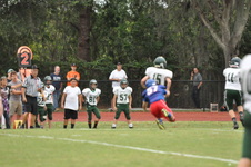 Enlarge photo 355