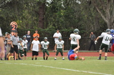 Enlarge photo 356