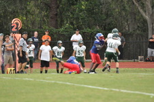 Enlarge photo 361