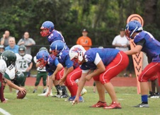 Enlarge photo 370
