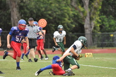 Enlarge photo 375